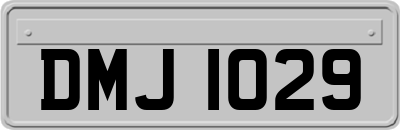 DMJ1029