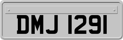 DMJ1291