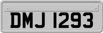 DMJ1293