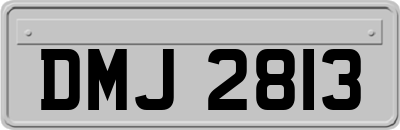 DMJ2813