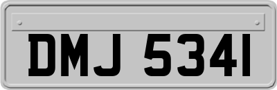 DMJ5341