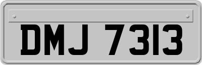 DMJ7313