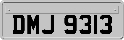 DMJ9313