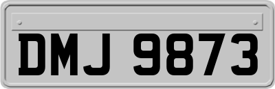 DMJ9873