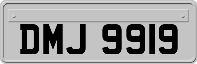 DMJ9919