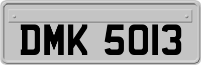 DMK5013