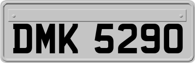 DMK5290