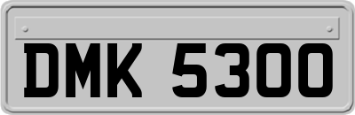 DMK5300