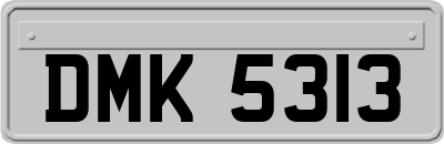 DMK5313