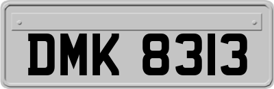 DMK8313