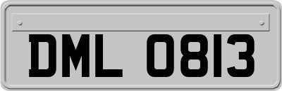 DML0813