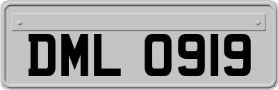 DML0919