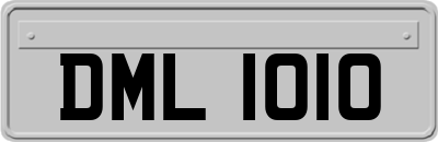 DML1010