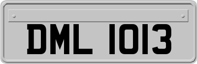 DML1013