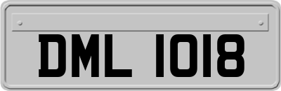 DML1018