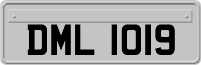 DML1019
