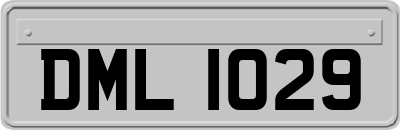 DML1029