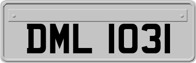 DML1031