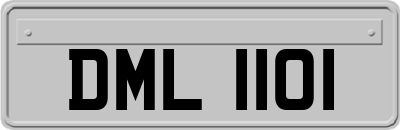 DML1101
