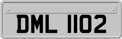 DML1102