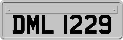 DML1229