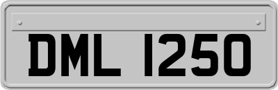 DML1250