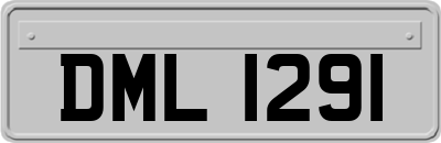 DML1291