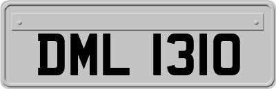 DML1310