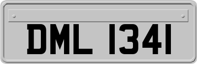 DML1341