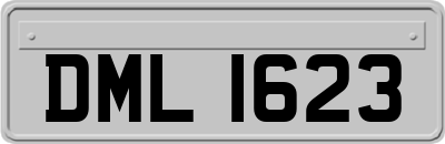 DML1623