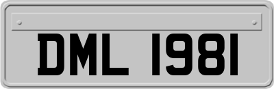 DML1981