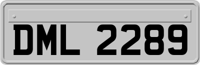 DML2289