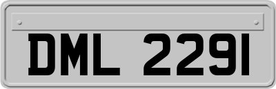 DML2291