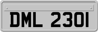 DML2301