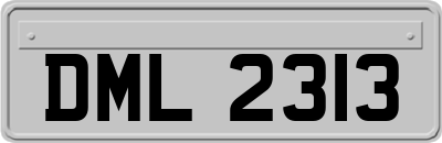DML2313
