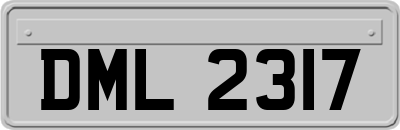DML2317