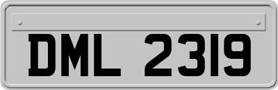 DML2319