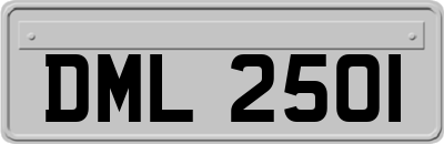 DML2501