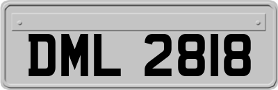 DML2818