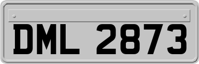 DML2873
