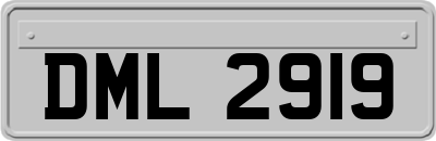 DML2919