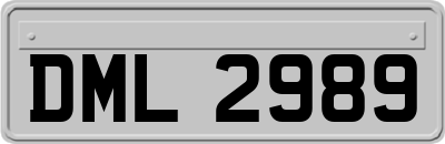 DML2989
