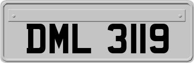 DML3119