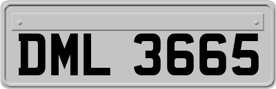 DML3665