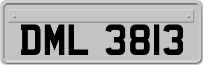 DML3813