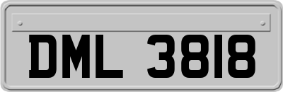 DML3818