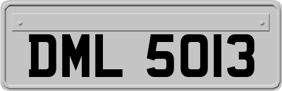 DML5013