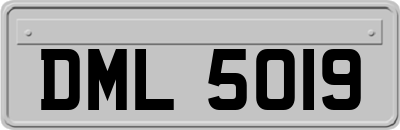DML5019