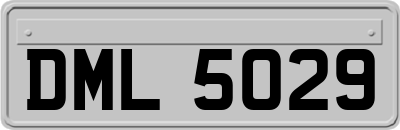 DML5029