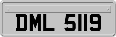 DML5119